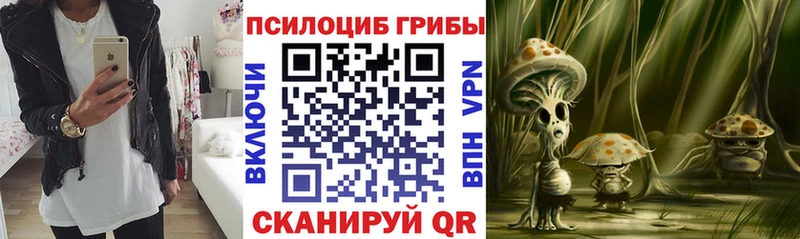 Псилоцибиновые грибы Psilocybine cubensis  хочу   Оленегорск 