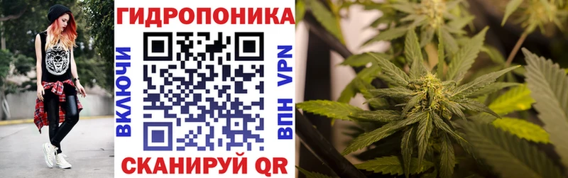 закладка Оленегорск Шишки марихуана SATIVA & INDICA